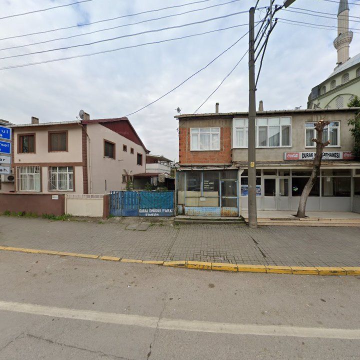 Fotoğraf 9