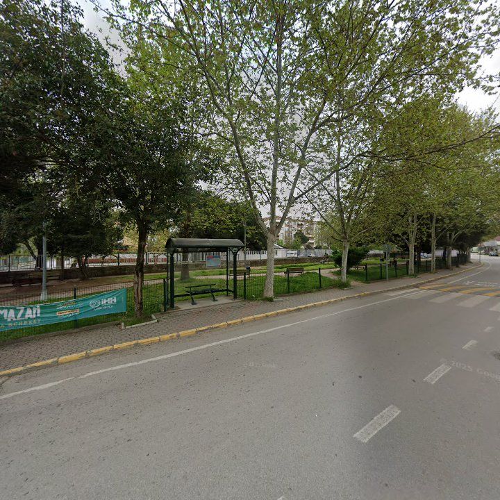 Fotoğraf 10