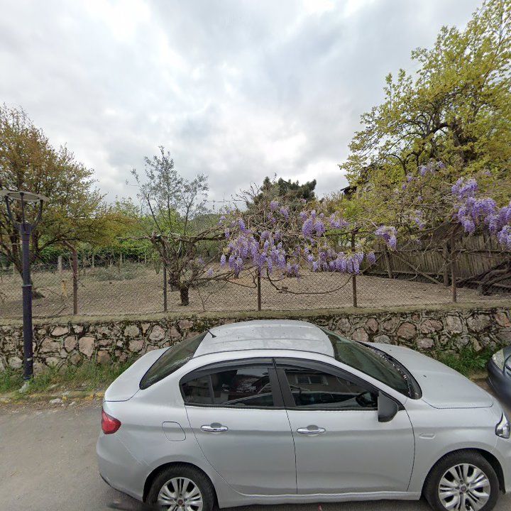 Fotoğraf 6