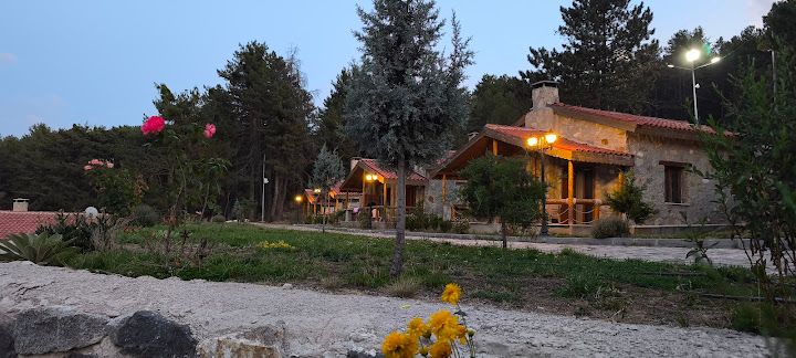 Yorum fotoğrafı 4