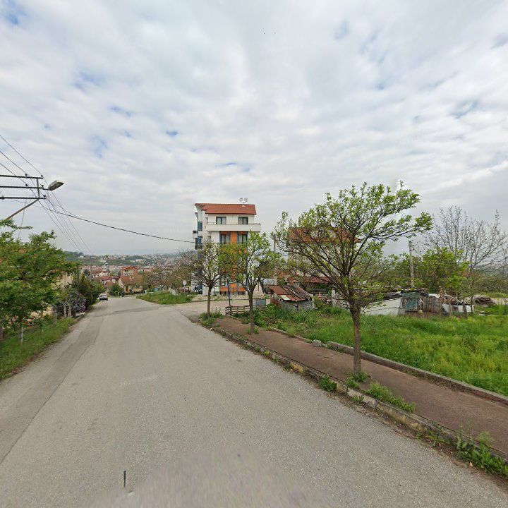 Fotoğraf 7