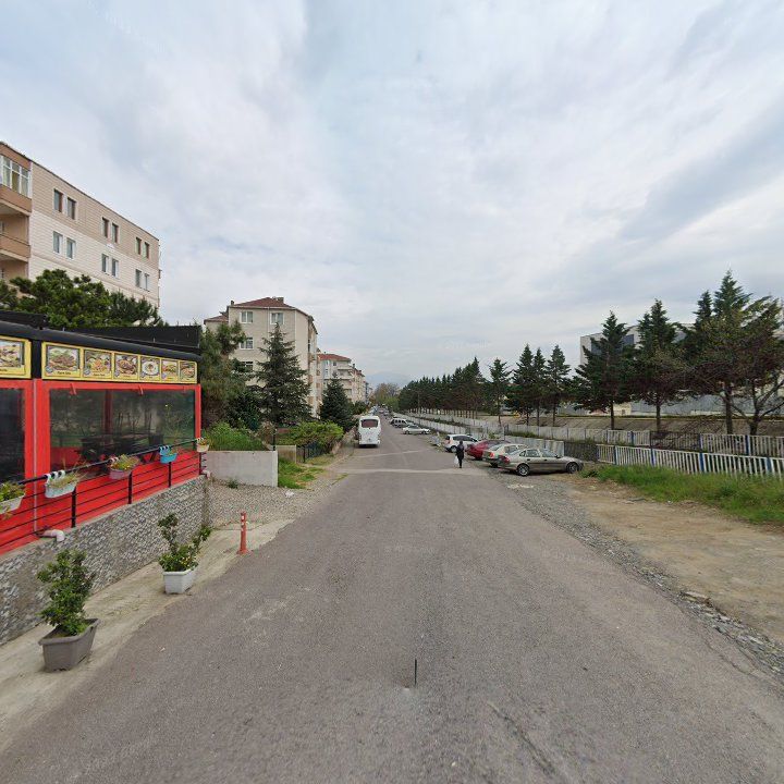 Fotoğraf 8