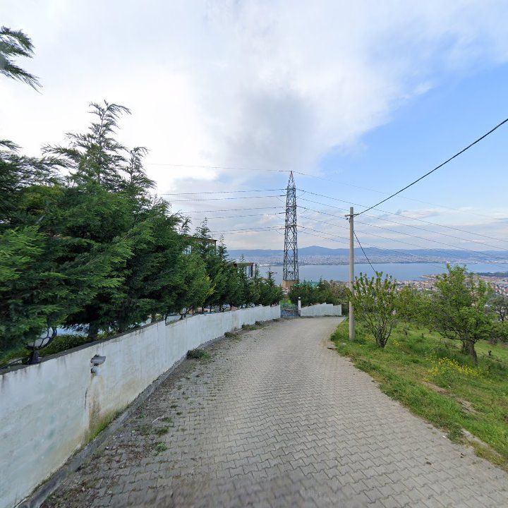 Fotoğraf 9