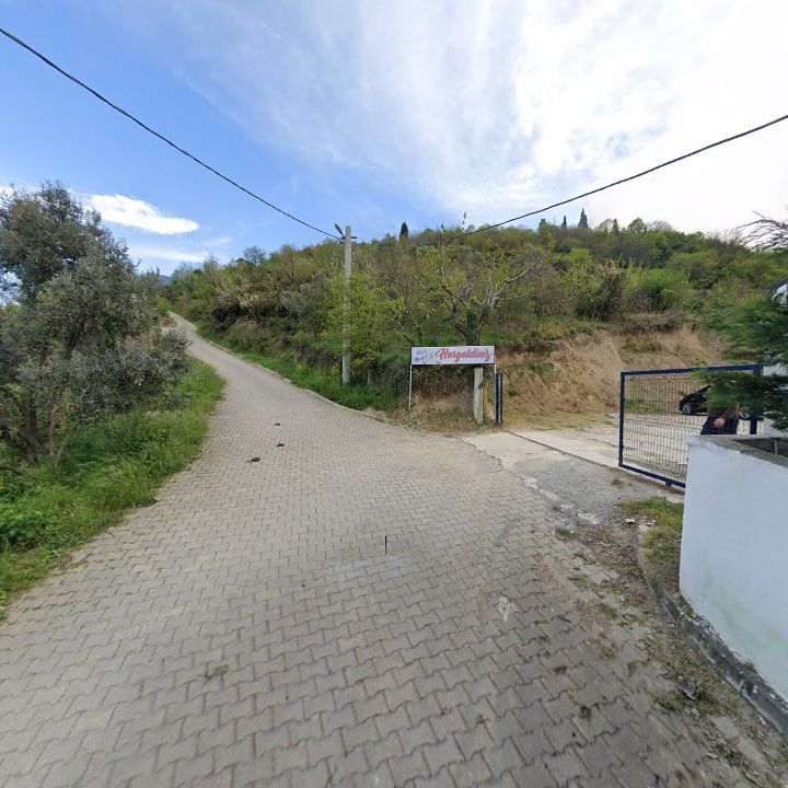 Fotoğraf 7