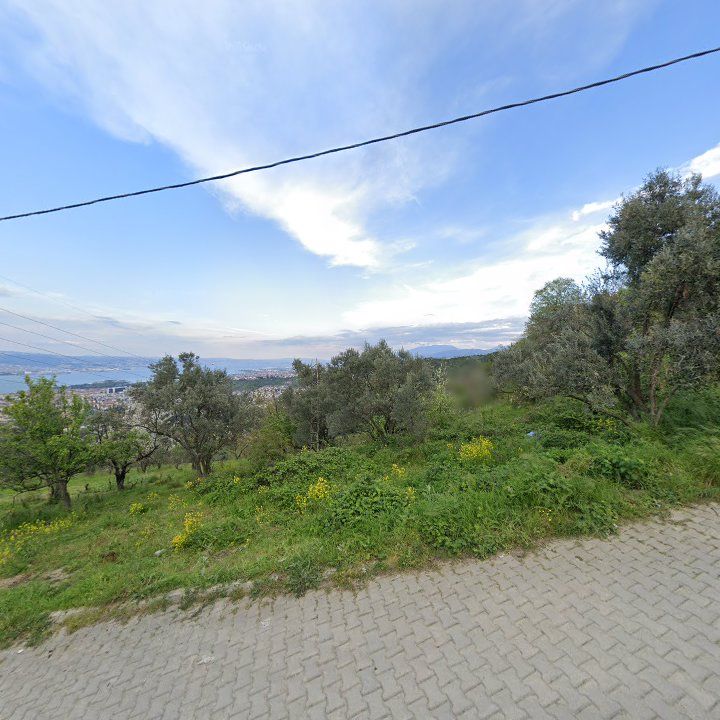 Fotoğraf 10