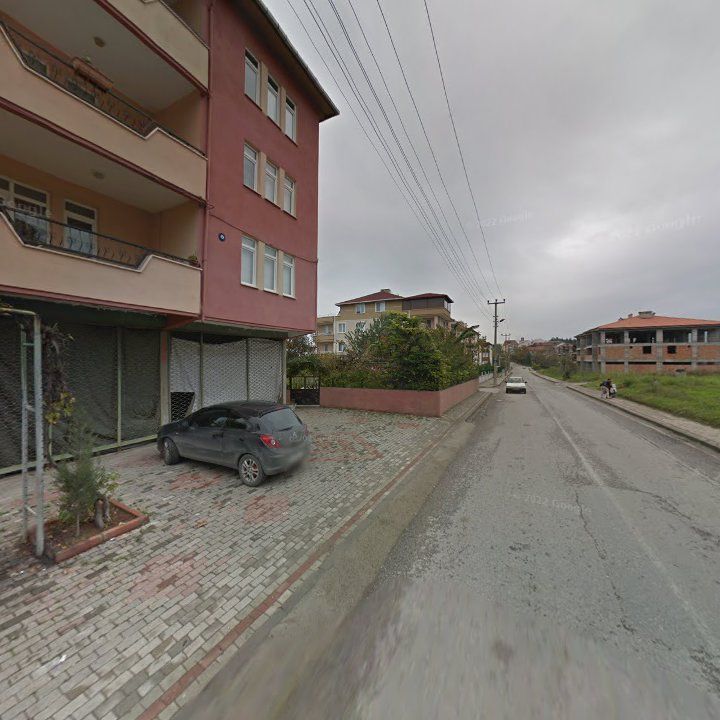Fotoğraf 7