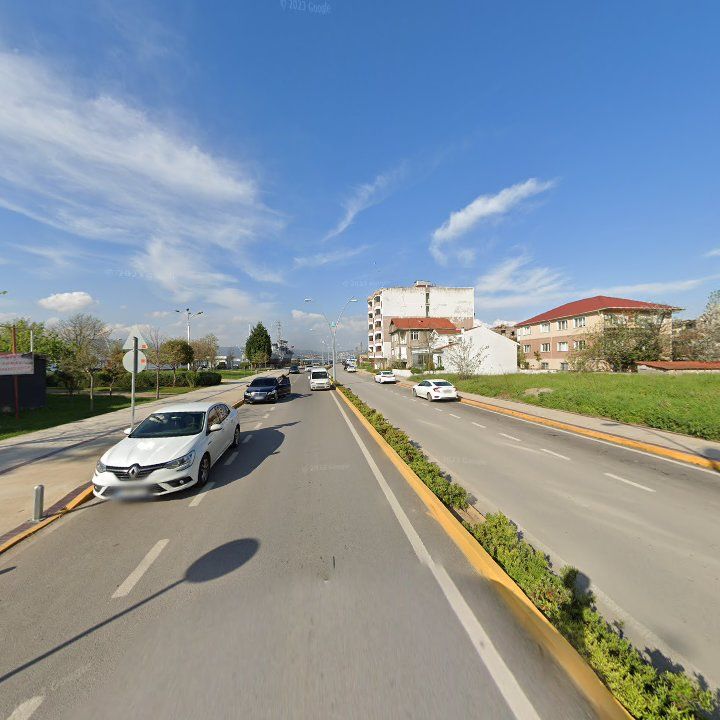 Fotoğraf 10