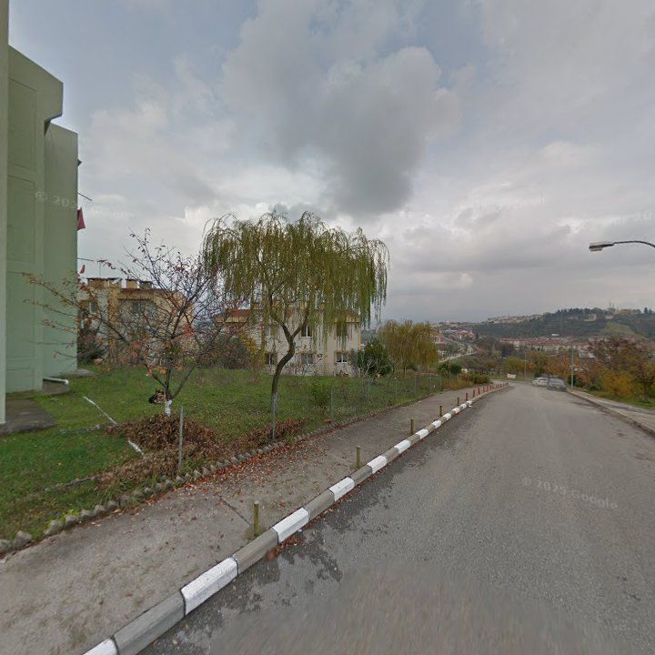 Fotoğraf 9