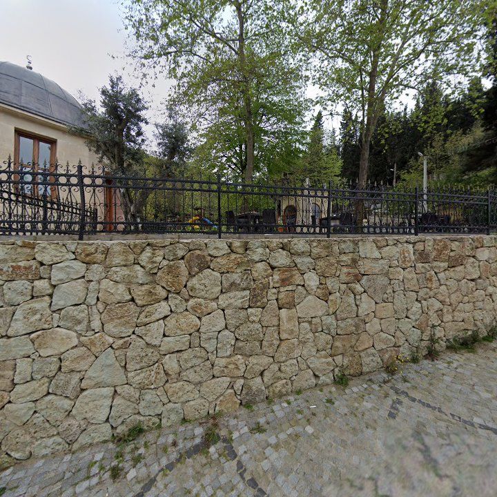 Fotoğraf 8