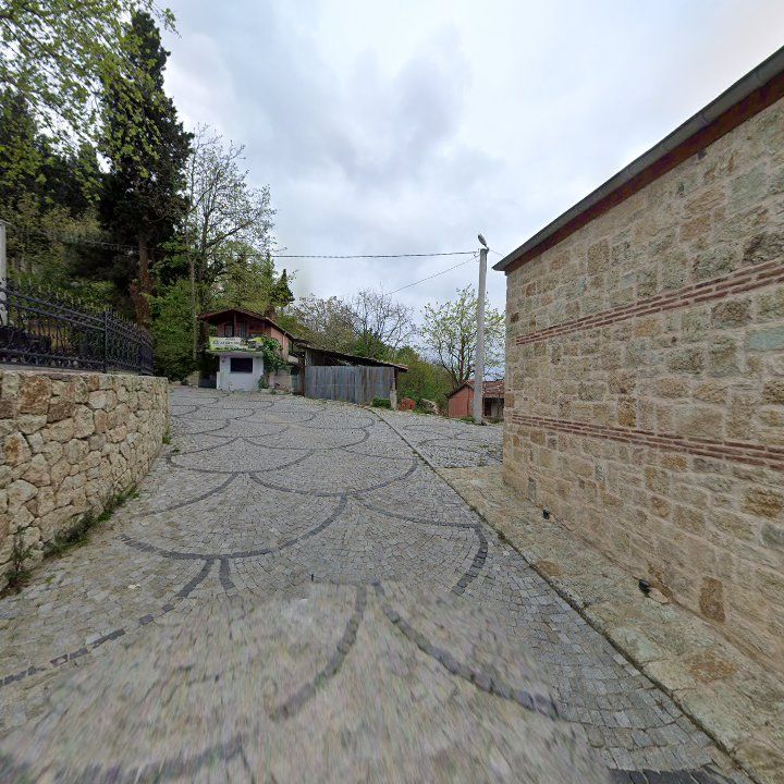 Fotoğraf 9