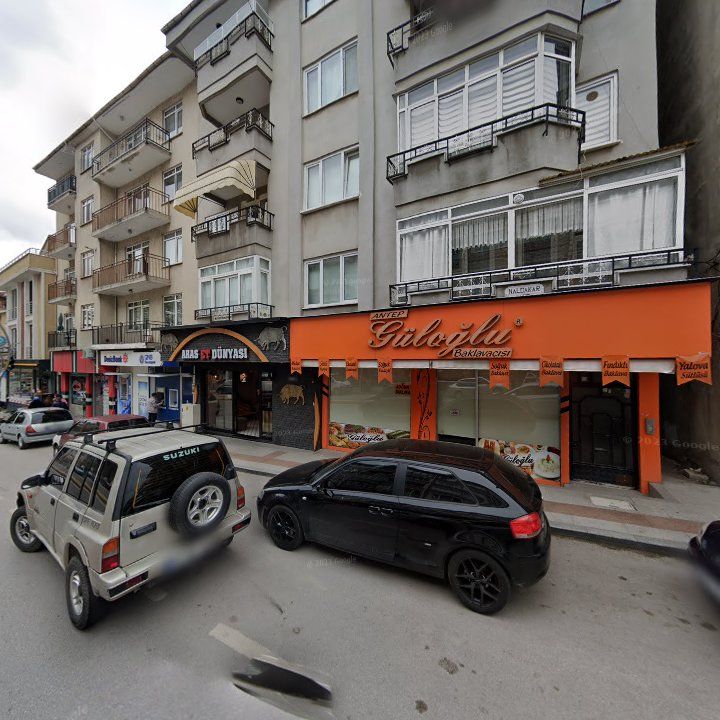Fotoğraf 8