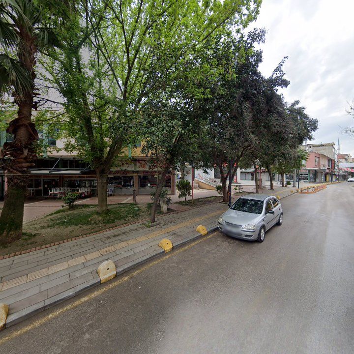 Fotoğraf 10