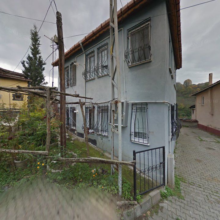 Fotoğraf 10