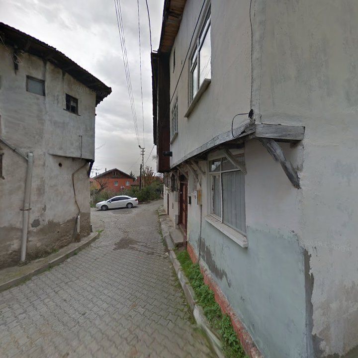 Fotoğraf 12