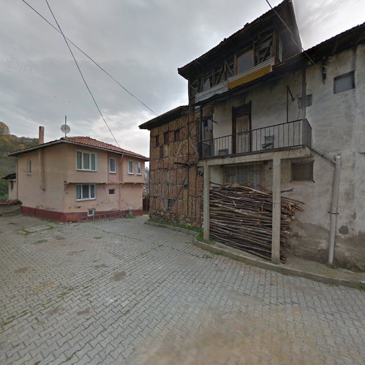 Fotoğraf 11
