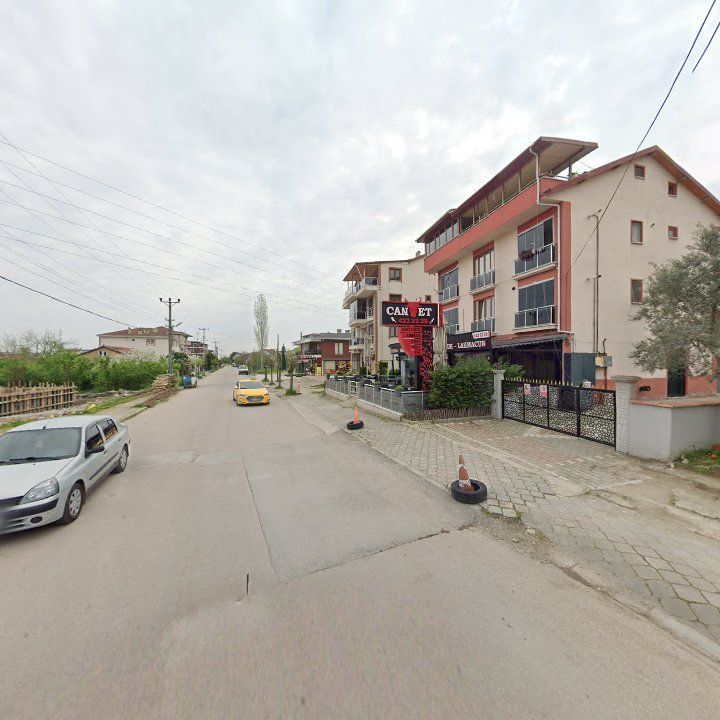 Fotoğraf 10