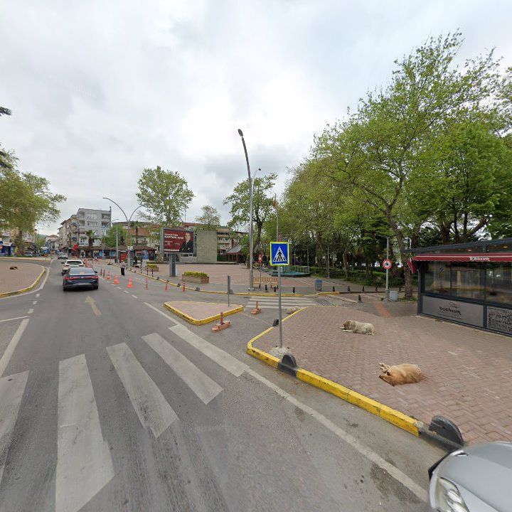 Fotoğraf 12
