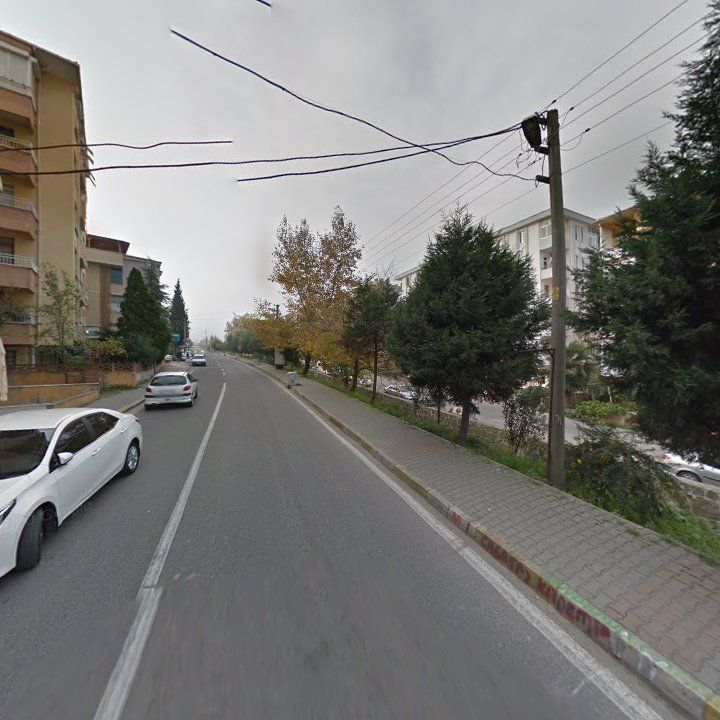 Fotoğraf 7