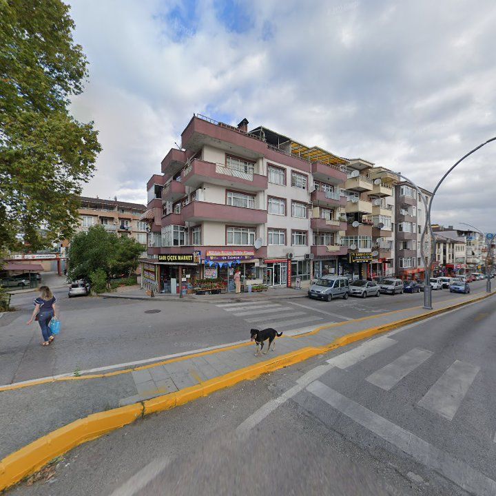 Fotoğraf 10