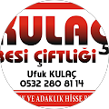 GOLD EMLAK