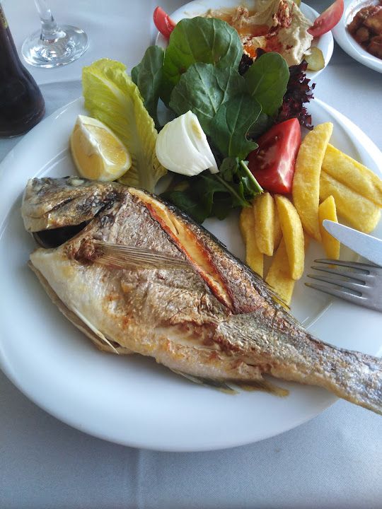 Fotoğraf 8