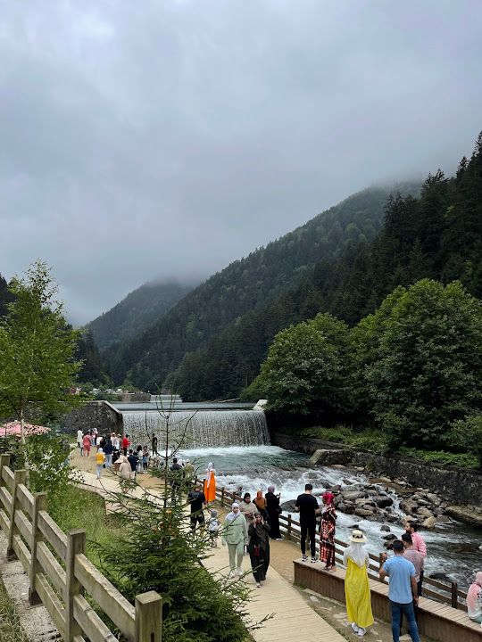 Yorum fotoğrafı 4