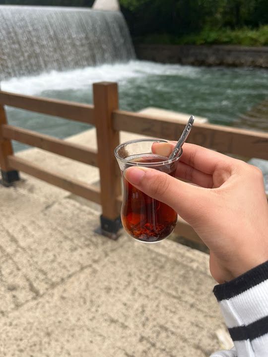 Yorum fotoğrafı 4
