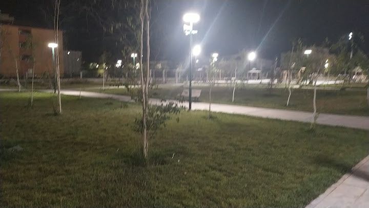 Yorum fotoğrafı 4