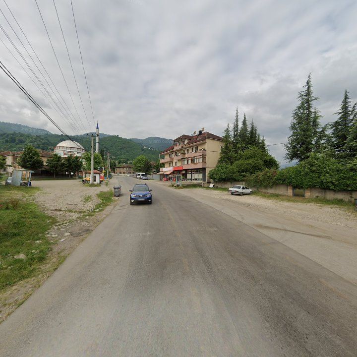 Fotoğraf 10