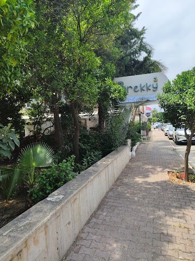Fotoğraf 12