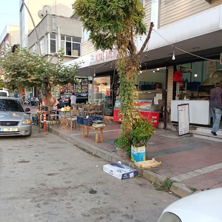 ALTAŞ BALIKÇILIK ve BALIK PİŞİRİM