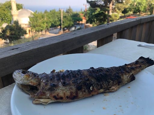 Yorum fotoğrafı 9