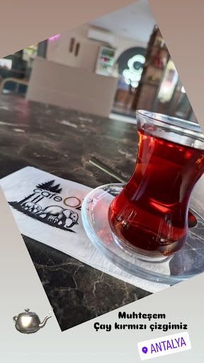 Fotoğraf 14