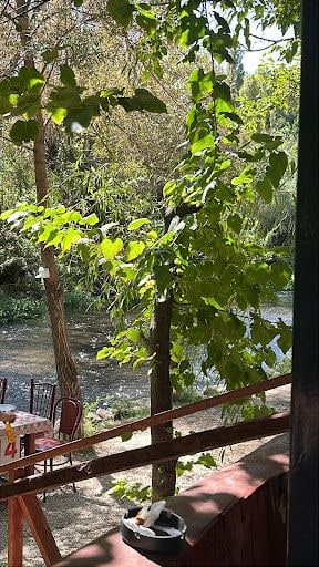 Yorum fotoğrafı 5