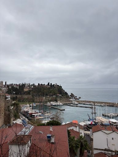 Yorum fotoğrafı 5