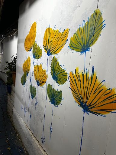 Yorum fotoğrafı 4