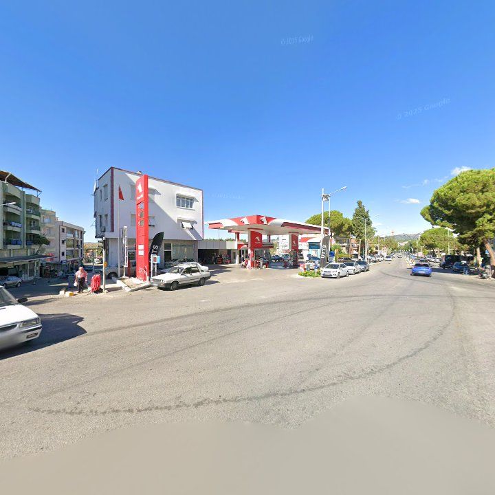 Fotoğraf 7