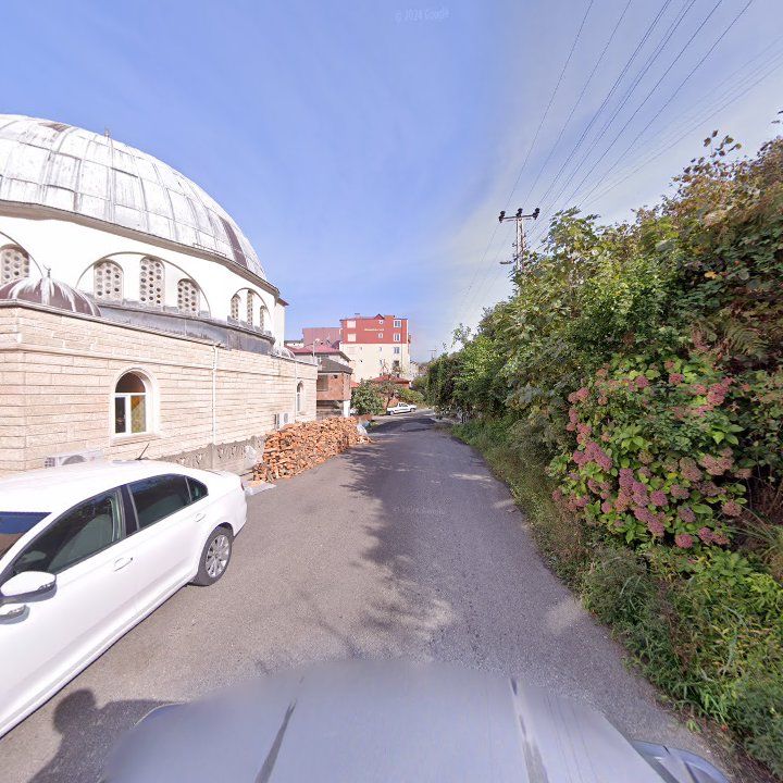 Fotoğraf 3