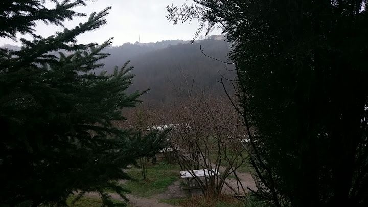 Fotoğraf 28
