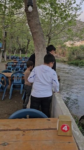 Yorum fotoğrafı 5