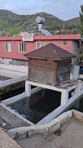 Yorum fotoğrafı 7