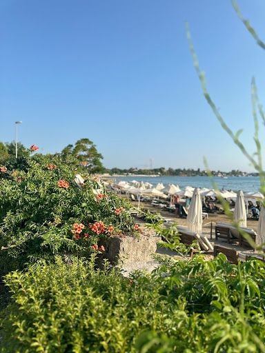 Yorum fotoğrafı 8