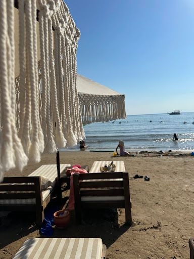 Yorum fotoğrafı 9
