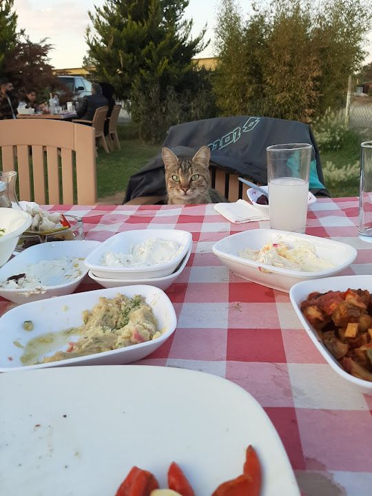 Fotoğraf 26