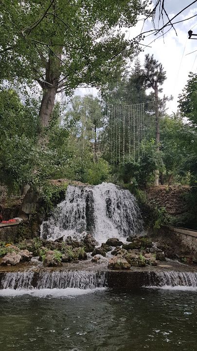 Yorum fotoğrafı 4