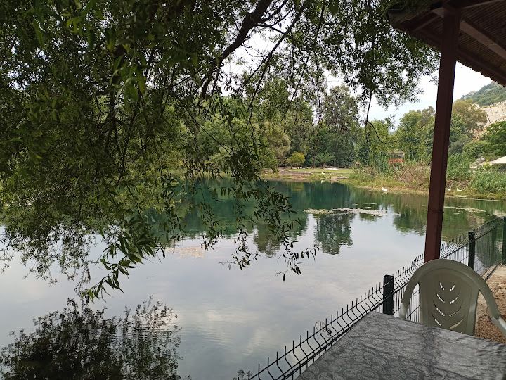 Yorum fotoğrafı 2