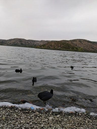 Yorum fotoğrafı 10