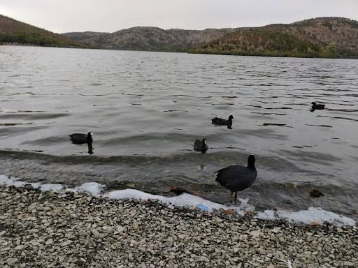 Yorum fotoğrafı 3