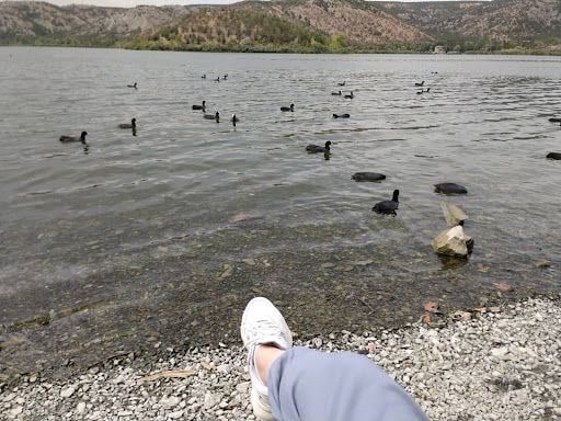 Yorum fotoğrafı 7