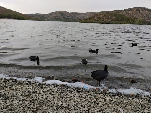 Yorum fotoğrafı 8